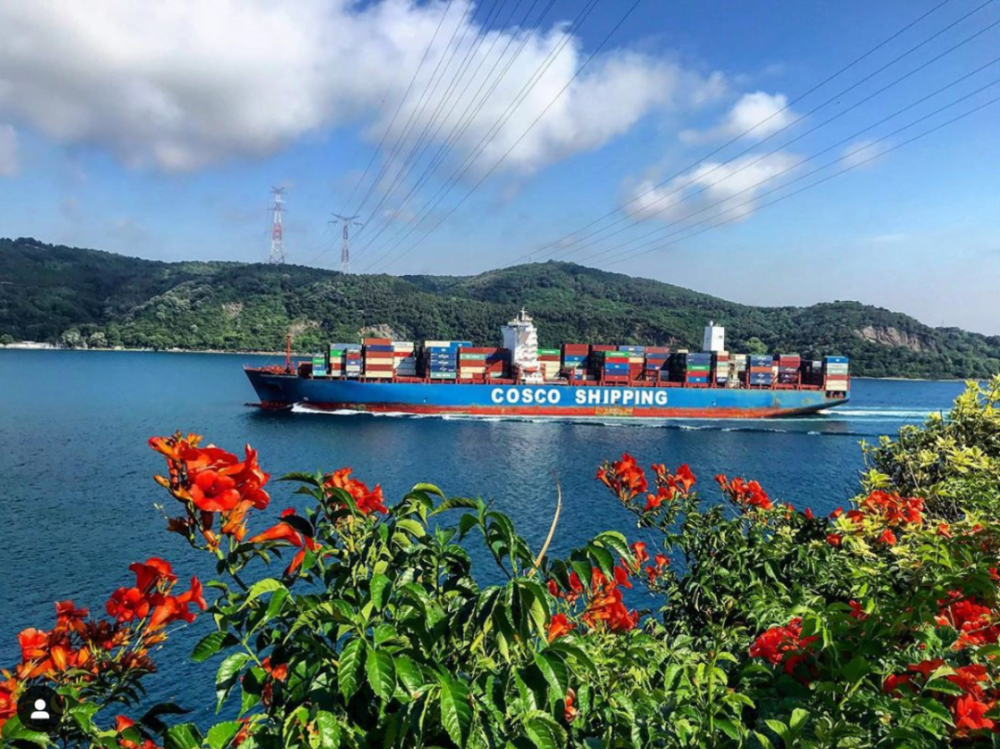 船期延误的“罪魁”之首，可能不是气象