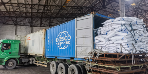 ?有机肥料能够走集装箱海运吗，必要把稳什么？