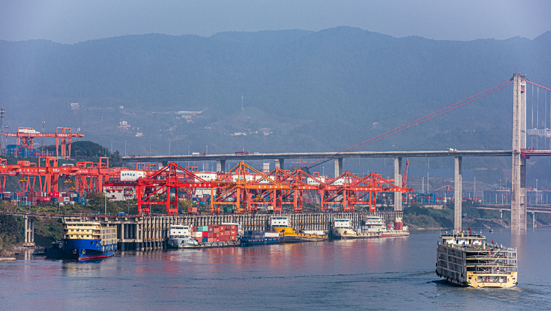 内贸集装箱海运：若何确保定时送货的法门