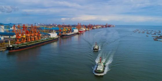 什么是集装箱船舶内贸海运行表贸？