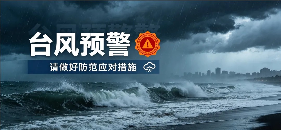 关于台风“白海豚”动态及集装箱海运作业铺排的公告